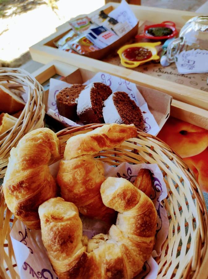 Puelches Hotel Juanita מראה חיצוני תמונה